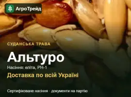 Зображення для оголошення Продам насіння суданської трави Альтуро