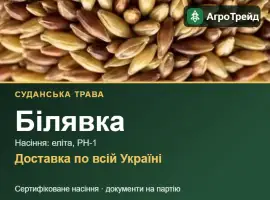 Зображення для оголошення Білявка — суданська трава, насіння