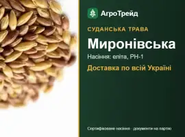 Зображення для оголошення Миронівська — суданська трава, насіння