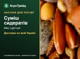 Зображення для оголошення Суміш сидератів Мікс Light soil — насіння