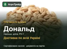 Зображення для оголошення Тритикале озиме Дональд — насіння