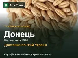 Зображення для оголошення Тритикале озиме Донець — насіння