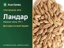 Зображення для оголошення Тритикале яре Ландар — насіння