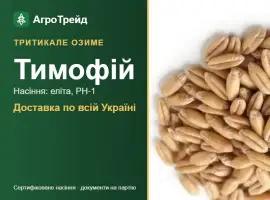 Зображення для оголошення Купити насіння озимого тритикале Тимофій