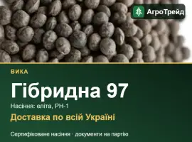 Зображення для оголошення Насіння вики Гібридна 97