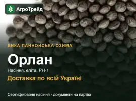 Зображення для оголошення Орлан — вика паннонська озима, насіння