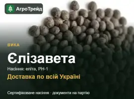 Зображення для оголошення Купити насіння вики Єлізавета