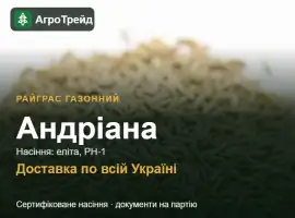 Зображення для оголошення Андріана — райграс газонний, насіння