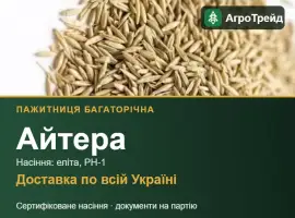 Зображення для оголошення Пажитниця багаторічна Айтера