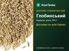 Зображення для оголошення Глобинський — житняк гребінчастий, насіння