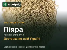 Зображення для оголошення Купити насіння костриці лучної Піяра