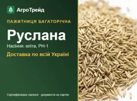 Зображення для оголошення Руслана — пажитниця багаторічна, насіння