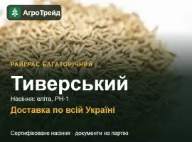 Зображення для оголошення Купити насіння райграсу багаторічного Тиверський