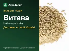 Зображення для оголошення Купити насіння злакових трав Витава