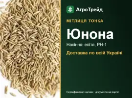 Зображення для оголошення Купити насіння мітлиці тонкої Юнона