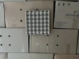 Лотки для яиц, сухие отобранные в ящиках