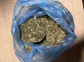 Продам табак 2026