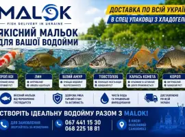 Зображення для оголошення Зарибок мальок з власної водойми Короп Лин Амур