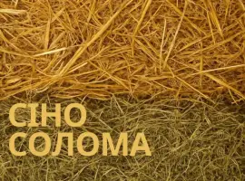 СОЛОМА, СІНО + Доставка