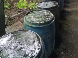 Бочки пластиковые Распродажа 100