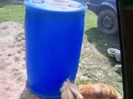 Продам бочку 220 л для води або на стройку