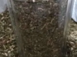 Махорка