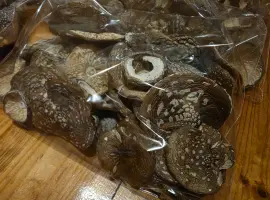 Продам пантерні мухомори
