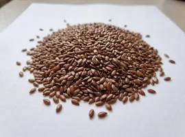 Продаж коричневого ЛЬОНУ, Харківська область