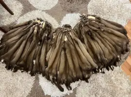 Куплю хутро куниці дорого