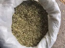 Махорка(Власного вирощування)