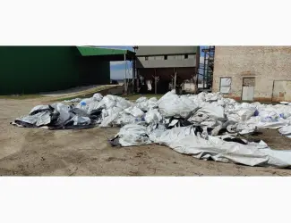 Зображення для оголошення Закуповуємо зерновий рукав поліетиленовий б/в для зберігання зерна
