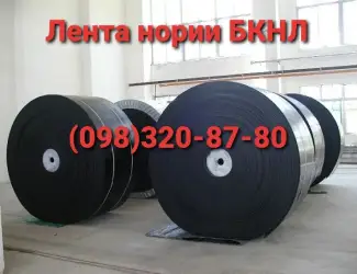 Лента норийная