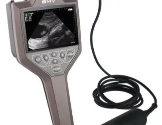 Зображення для оголошення УЗИ сканер для свиноводства FarmScan M30
