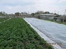 Зображення для оголошення Продам агроволокно от поставщика