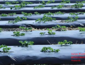 Плівка для мульчування в асортименті Vatan Plastik