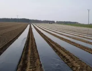 Плівка мульчуюча вторинна/первинна Vatan Plastik