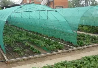Зображення для оголошення Сетка затеняющая Karatzis зеленая (8х50) 35%