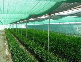 Зображення для оголошення Затеняющая сетка Karatzis зеленая (8х50) 50%
