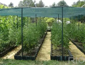 Зображення для оголошення Сетка затеняющая Karatzis зеленая (4х50) 50%