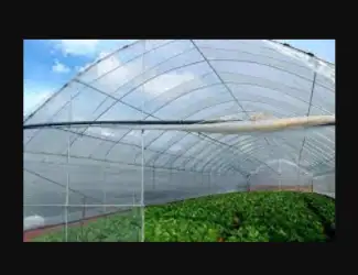 Плівка для теплиць Vatan Plastik 10 сезонів