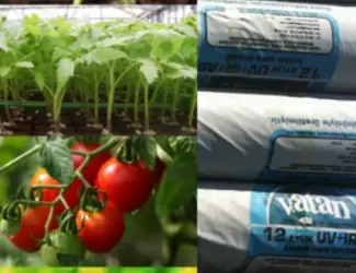 Топ плівка для теплиці Ватан Пластік/Vatan Plastik