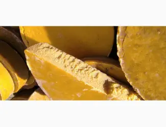 Куплю Віск пасічний різного кольору