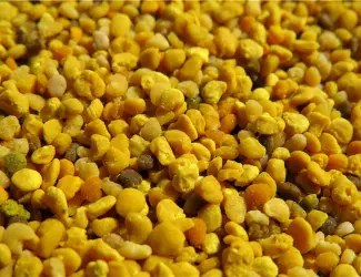 Зображення для оголошення Продам квітковий пилок 2026 рік