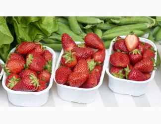 Зображення для оголошення Полуниця Корі (Cory Strawberry) саджанці полуниці Фріго