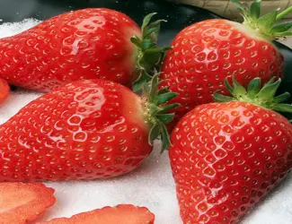 Зображення для оголошення Полуниця Альба(Alba Strawberry) саджанці полуниці Фріго