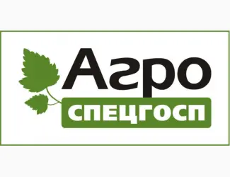 Зображення для оголошення Саджанці смородини Gofert