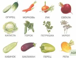 Зображення для оголошення Куплю оптом картофель
