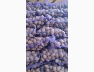 Продам картофель отличного качества сорт