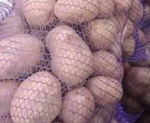 Зображення для оголошення Продам товарну картоплю сорту слов'янка