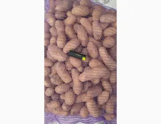 Зображення для оголошення Куплю картошку домашнюю и фермерскую